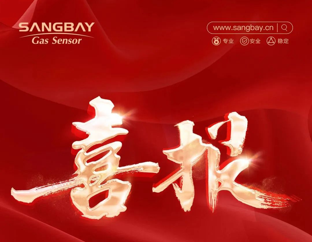 喜報(bào)｜上海松柏傳感獲評(píng)上海市專精特新中小企業(yè)，助力高質(zhì)量發(fā)展！